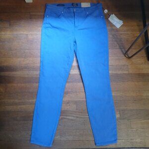 NWT NYDJ FOR CHICO'S flawless contour skinny ankle jeans in amparo blue (sz10)